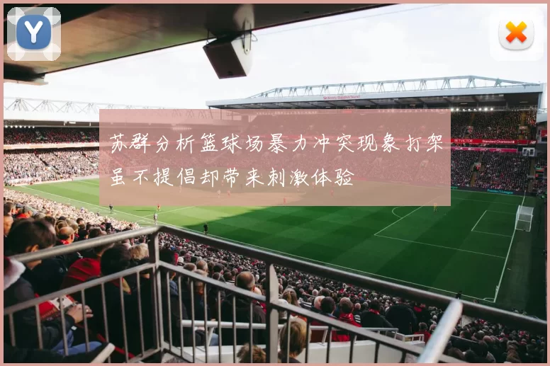 苏群分析篮球场暴力冲突现象打架虽不提倡却带来刺激体验